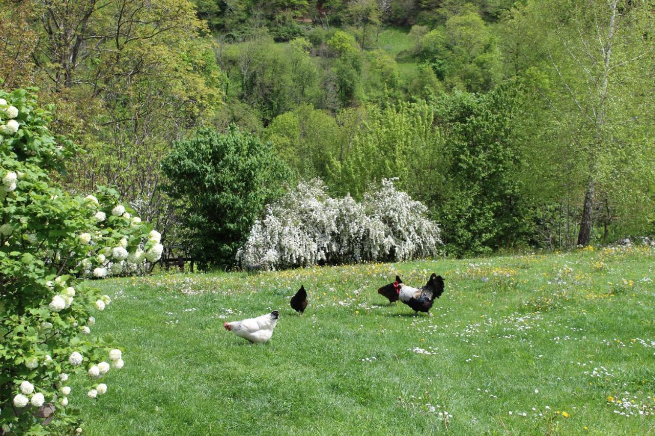La Grande Ourse Bed & Breakfast Campan Luaran gambar